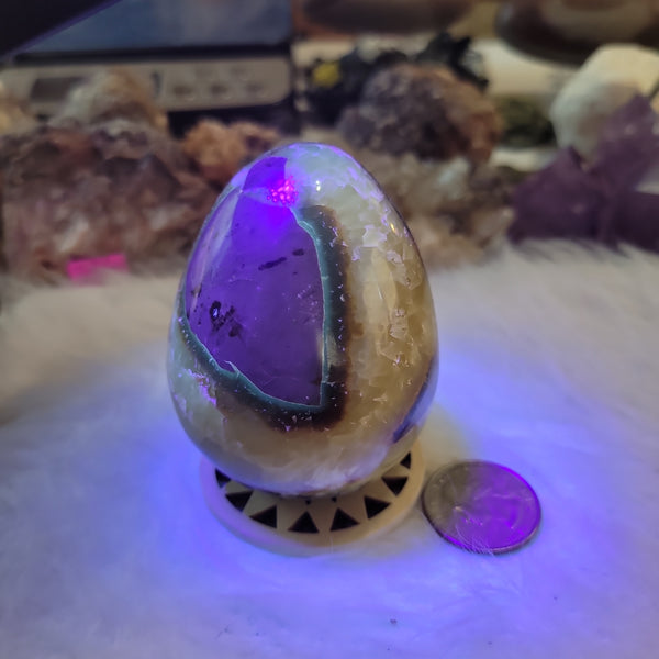 Septarian Agate Egg aka Dragon Egg SA1
