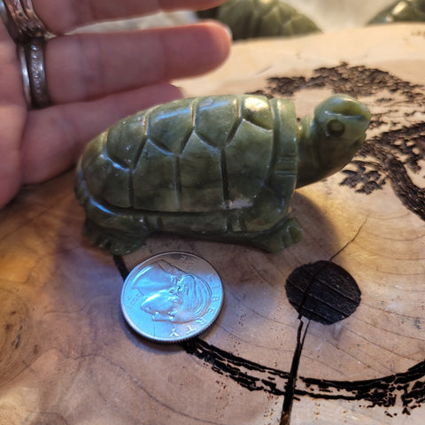 Jade Turtle JT6