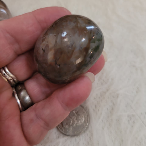 Ocean Jasper Palmstone OP2