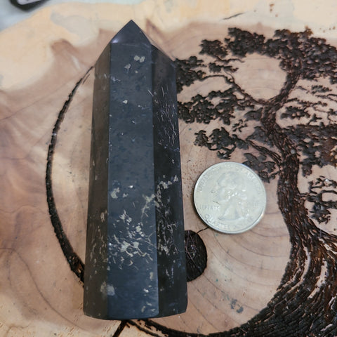 Shungite Point ST1