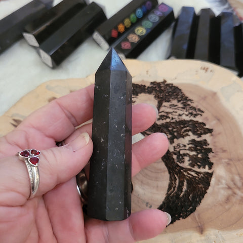 Shungite Point ST2