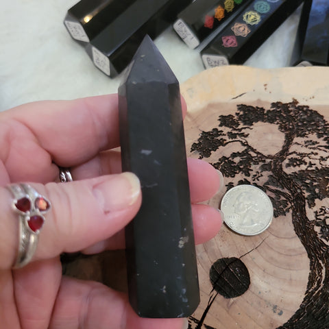 Shungite Point ST3