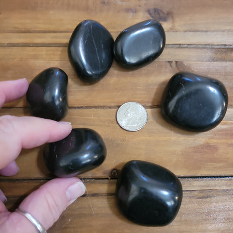 Shungite Palmstone - Small Sz - Random pull