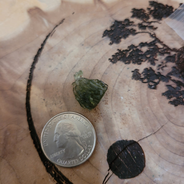 Moldavites- Moldavite 1 gram rough piece #9