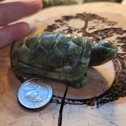 Jade Turtle JT2