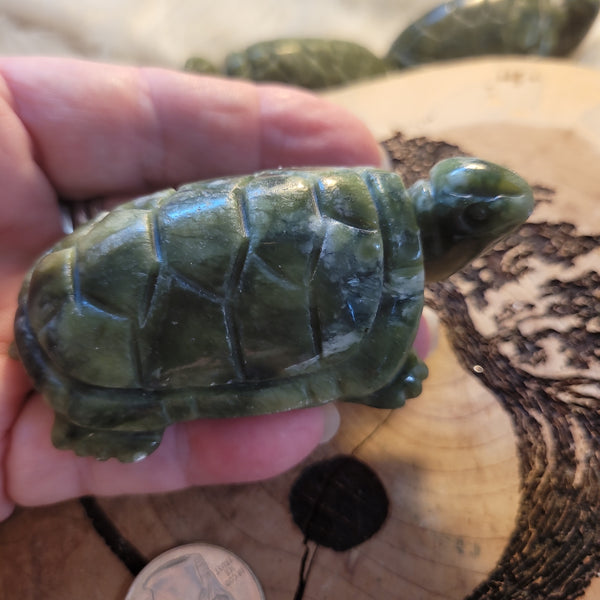 Jade Turtle JT2