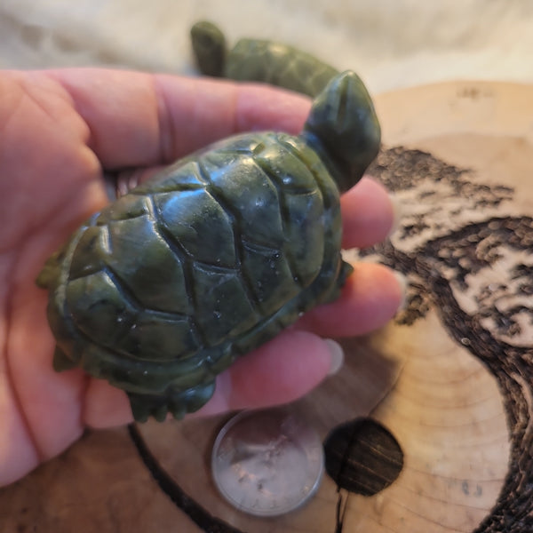Jade Turtle JT4