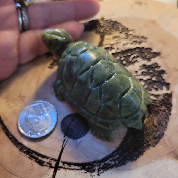 Jade Turtle JT4
