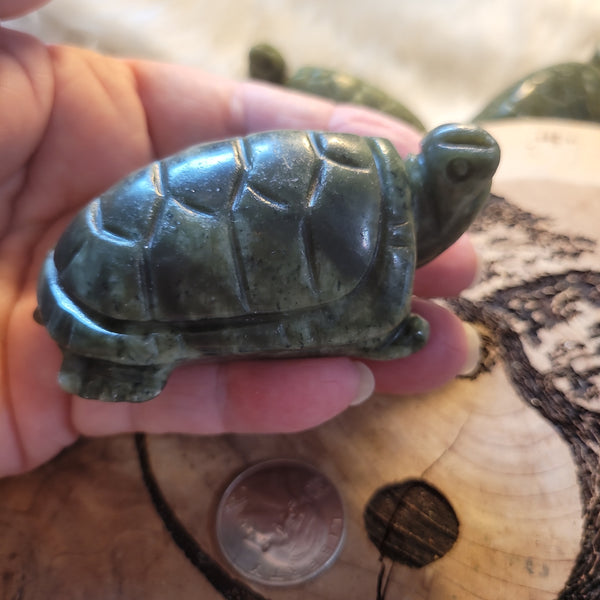 Jade Turtle JT5