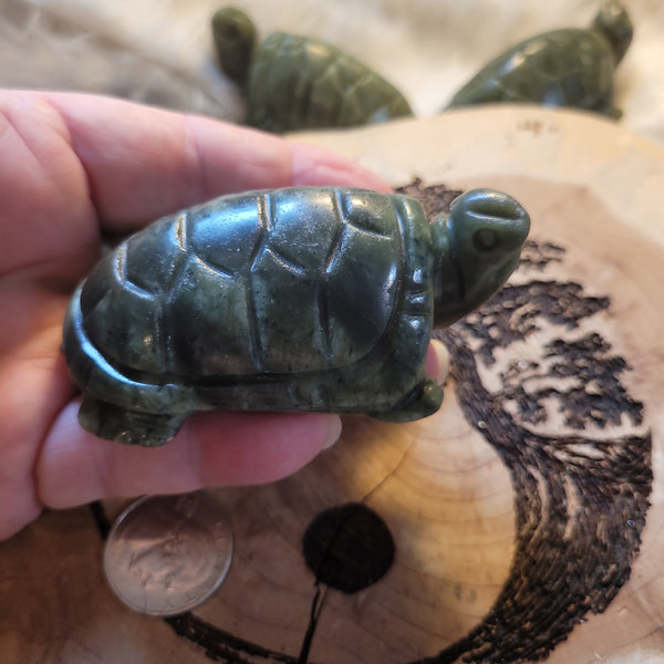 Jade Turtle JT5