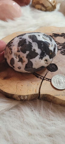 Zebra Jasper Power Stone MG5