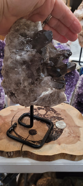 Smokey Quartz Cluster on Pin SQ1