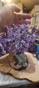 Gemstone Tree- Amethyst Gemstone Tree GT7