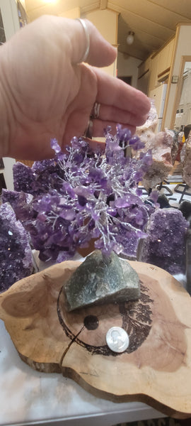 Gemstone Tree- Amethyst Gemstone Tree GT7