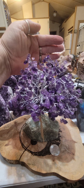 Gemstone Tree- Amethyst Gemstone Tree GT7