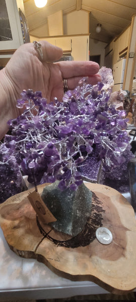 Gemstone Tree - Amethyst Gemstone Tree GT3