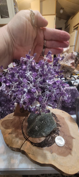 Gemstone Tree - Amethyst Gemstone Tree GT3