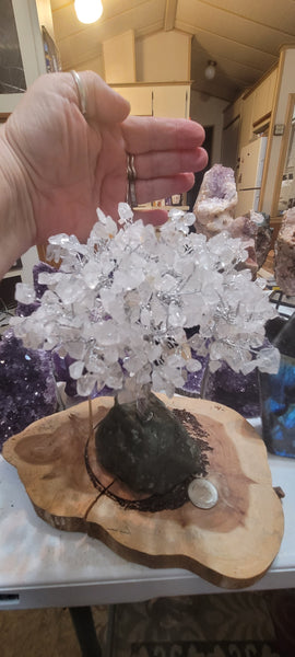 Gemstone Tree- Quartz Gemstone Tree GT10