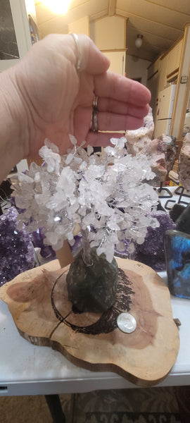 Gemstone Tree- Quartz Gemstone Tree GT10