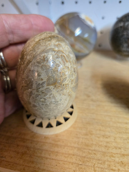 Picture Jasper Egg