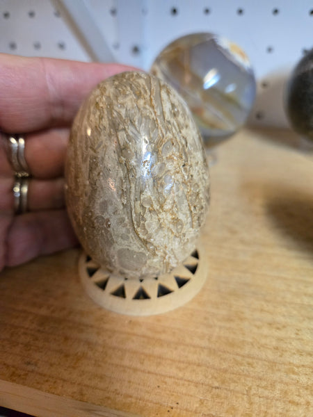 Picture Jasper Egg