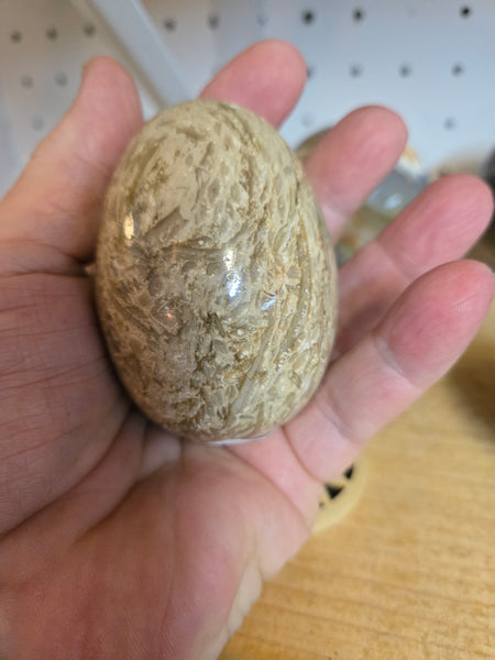 Picture Jasper Egg