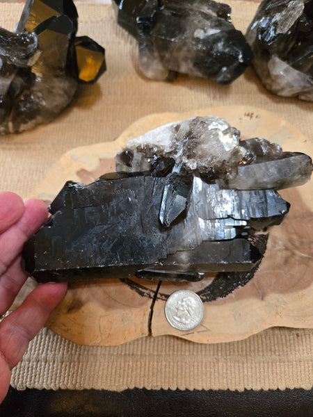 Smokey Quartz Cluster SM2