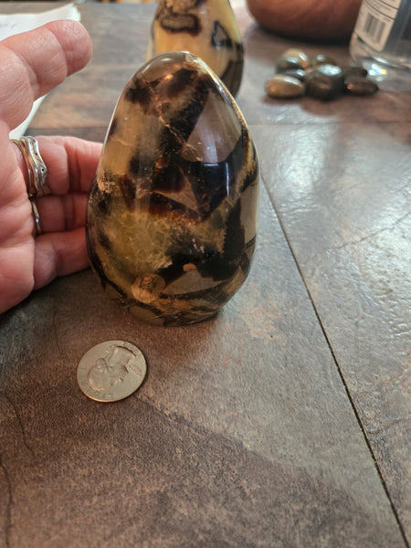 Septarian Agate Freeform SF2