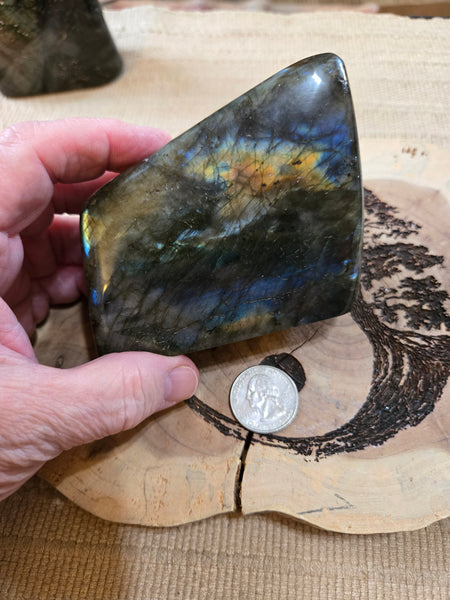 Labadorite Freeform L1