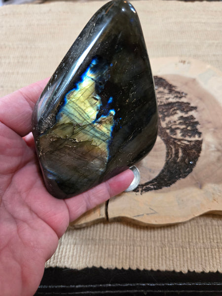 Labadorite Freeform L2