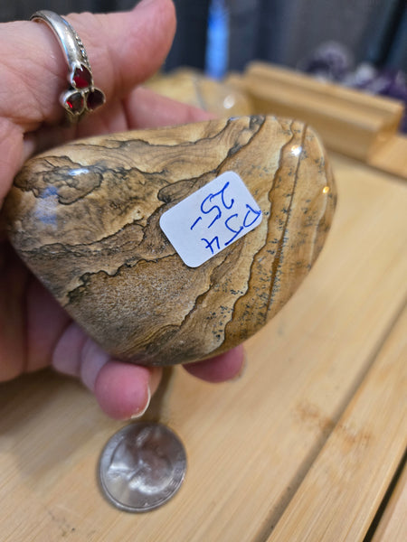 Power Stones - Picture Jasper Power Stone PJ4