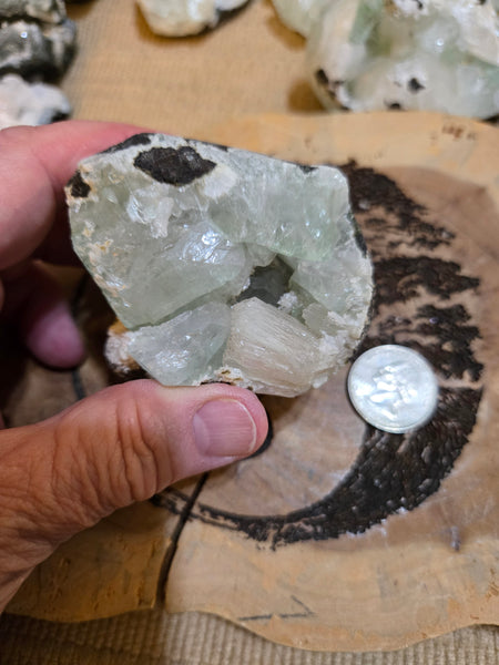Green Apophyllite with Stilbite Crystal AC2 Rare