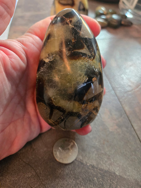 Septarian Agate Freeform SF2