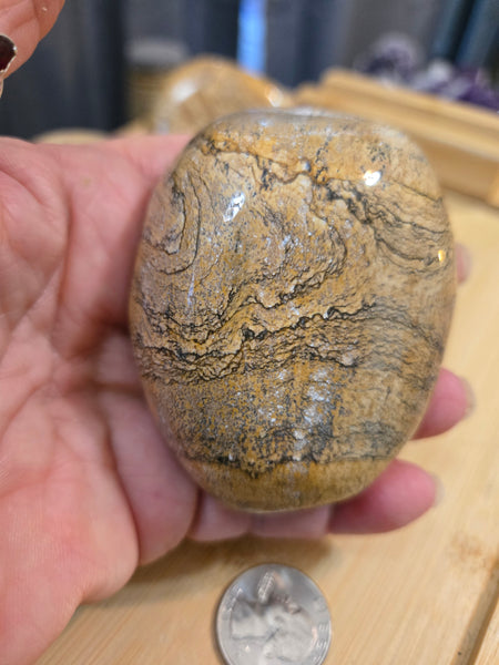 Power Stones - Picture Jasper Power Stone PJ2