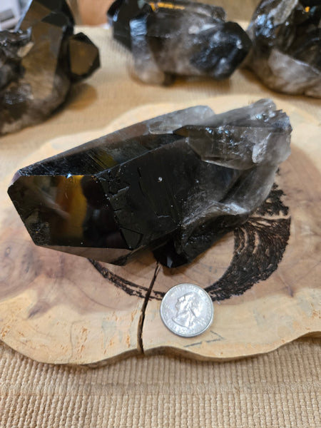 Smokey Quartz Cluster SM3