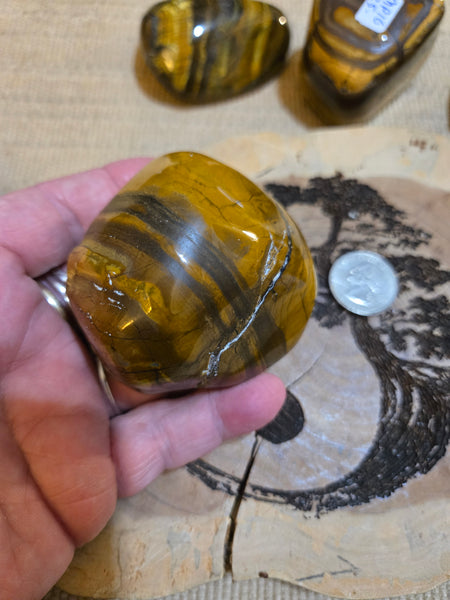 Tiger Eye Power Stone MP19