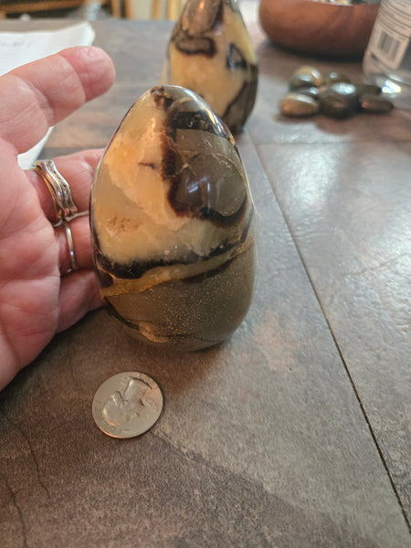 Septarian Agate Freeform SF2