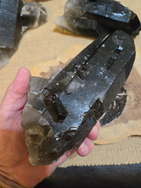 Smokey Quartz Cluster SM10