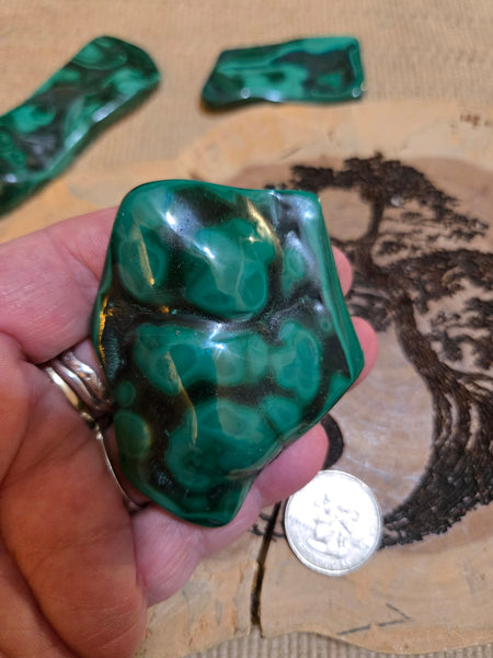 Malachite M5