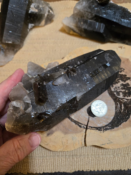 Smokey Quartz Cluster SM10