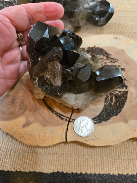 Smokey Quartz Cluster SM4