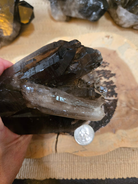 Smokey Quartz Cluster SM1