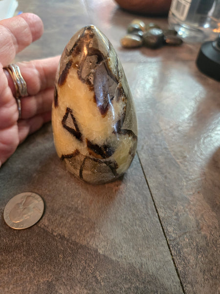 Septarian Agate Freeform SF1