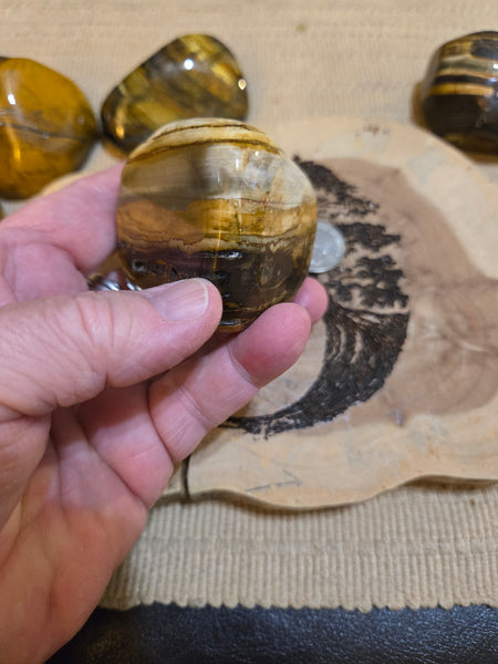 Tiger Eye Power Stone MP16