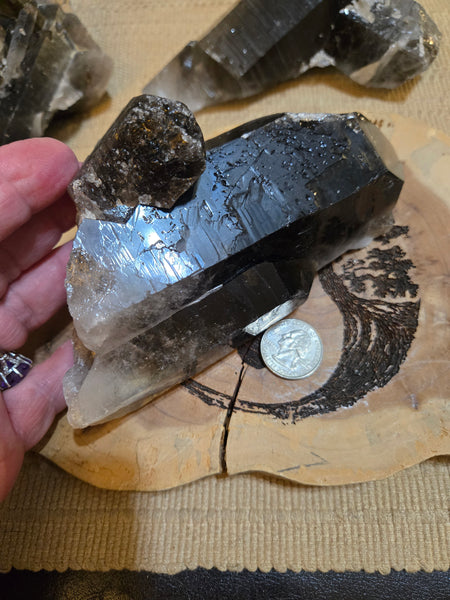 Smokey Quartz Cluster SM9