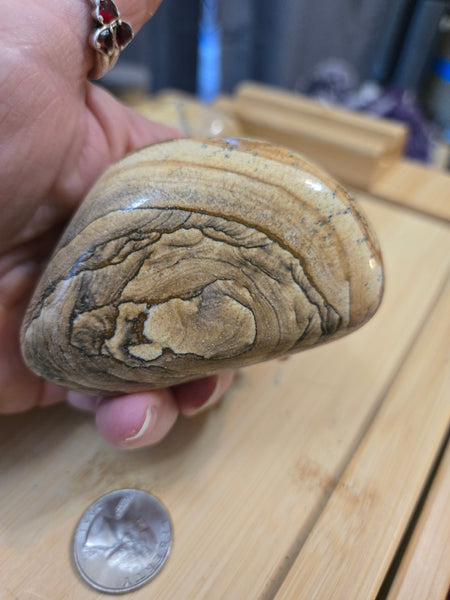 Power Stones - Picture Jasper Power Stone PJ4