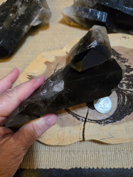 Smokey Quartz Cluster SM8