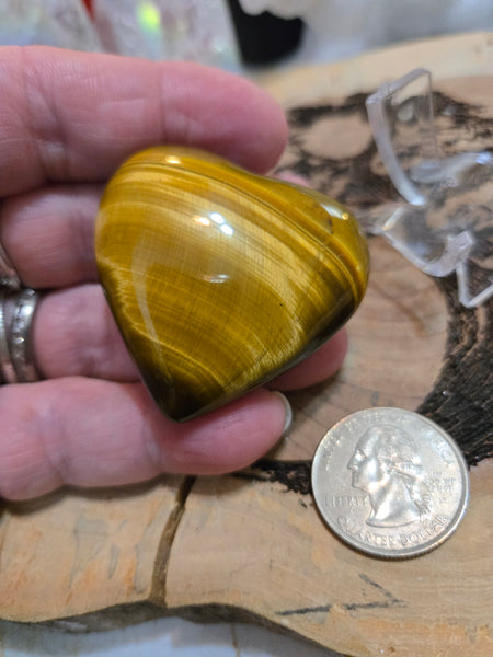 Hearts - Tiger EYE Heart TH1