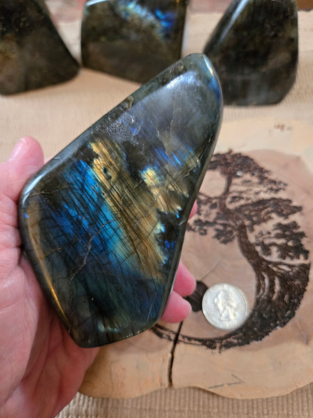 Labadorite Freeform L4