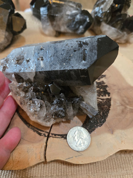 Smokey Quartz Cluster SM7